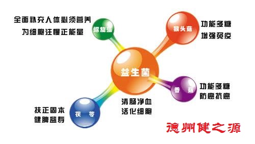 腸胃功能差，益生菌就可以解決一切